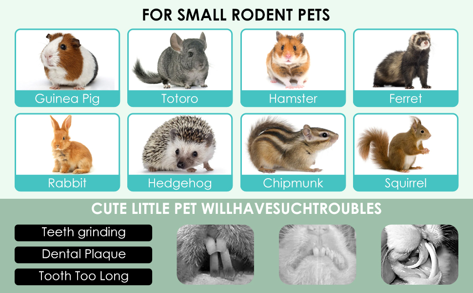 Bunny Hamster Rabbit Chew Toys