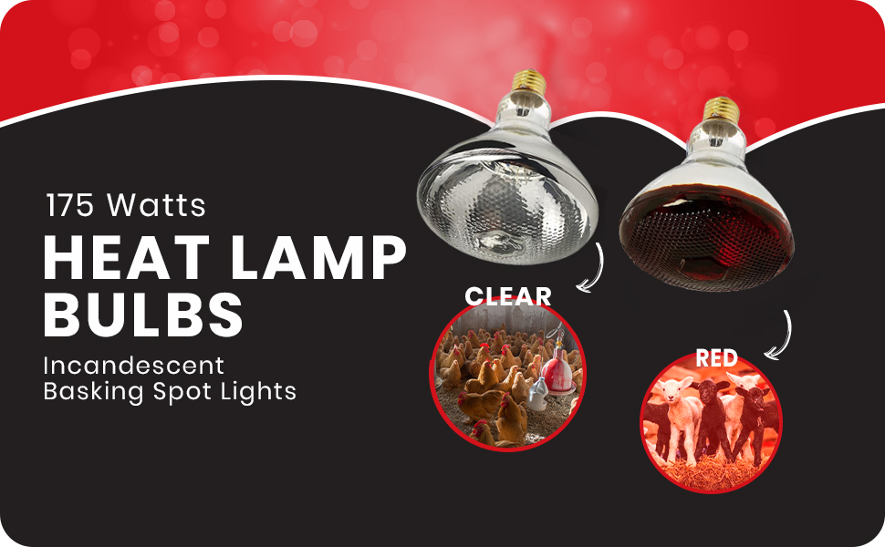 BULBMASTER 175 Watts PAR38 Red Heat Lamp for Chickens Infrared Light