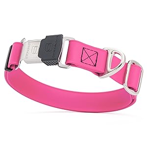 biothane collar herm sprenger cliclock buckle main
