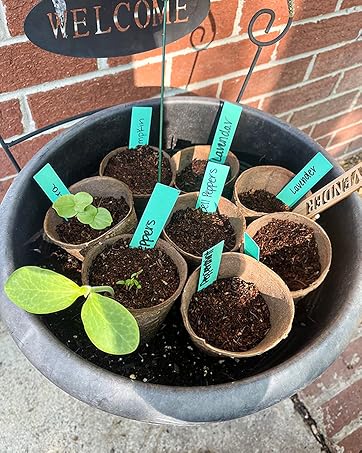 Peat Pots