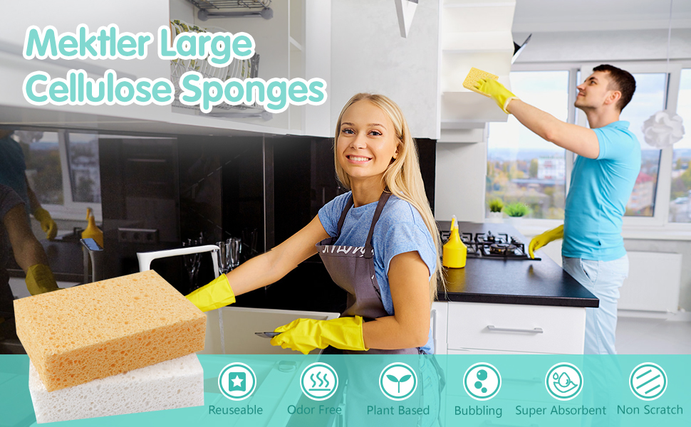 large sponge