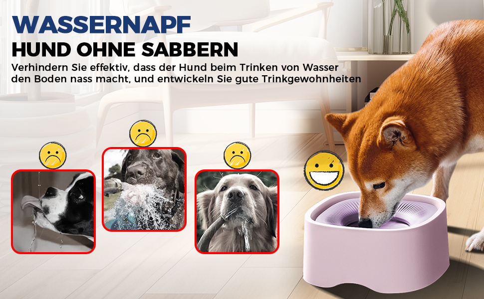 trinkflasche hunde für unterwegs