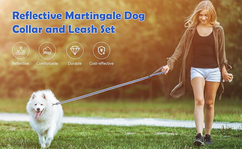 martingale collar for dogs