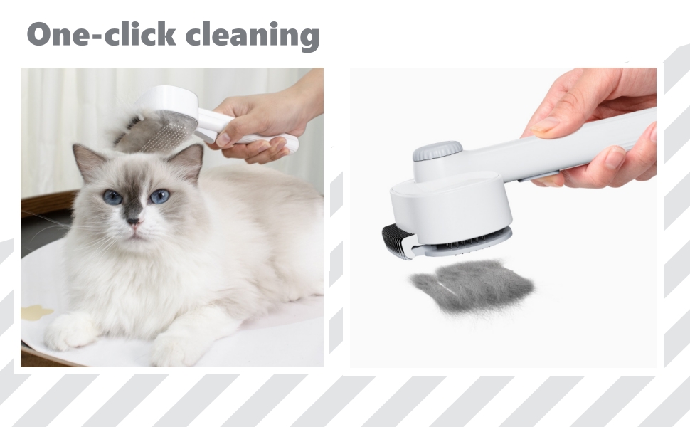 pet brush