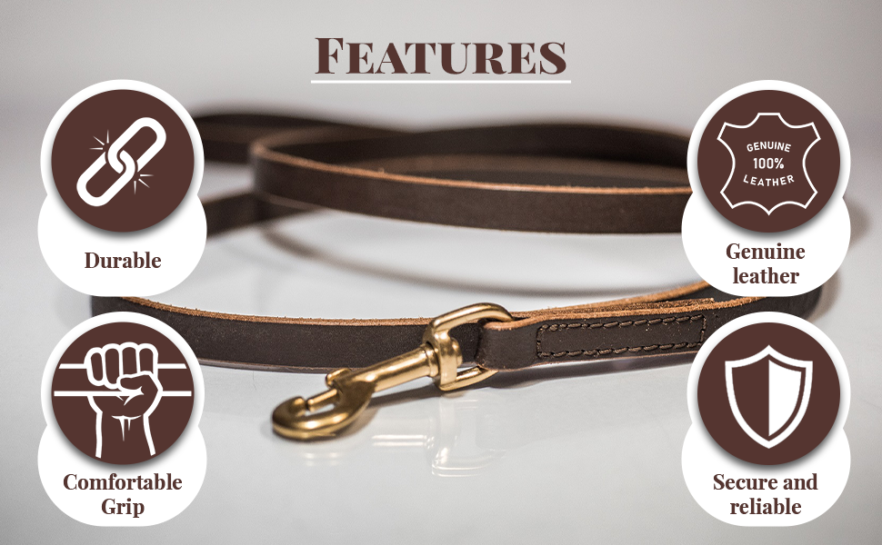 Leather Dog Leash 6ft Leash for Dogs Training and