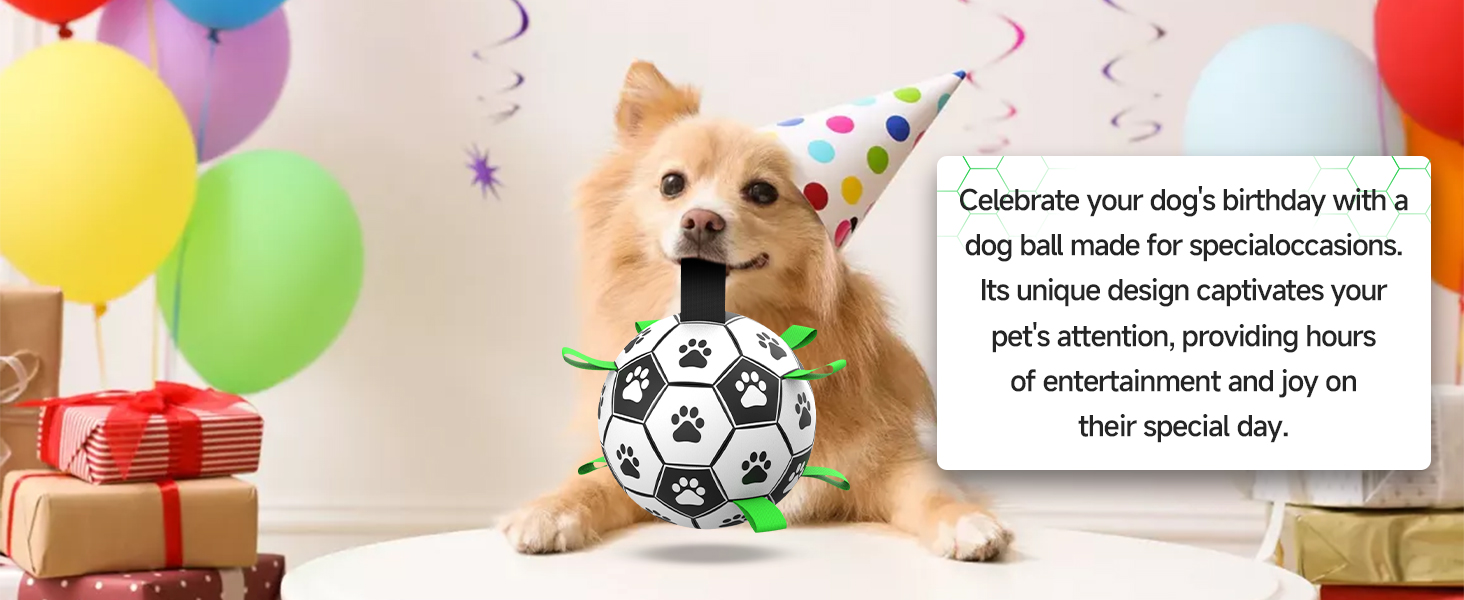 Perfect Gifts for Dogs