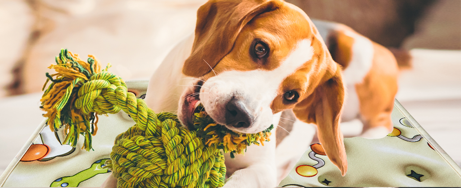 Dog playen mat