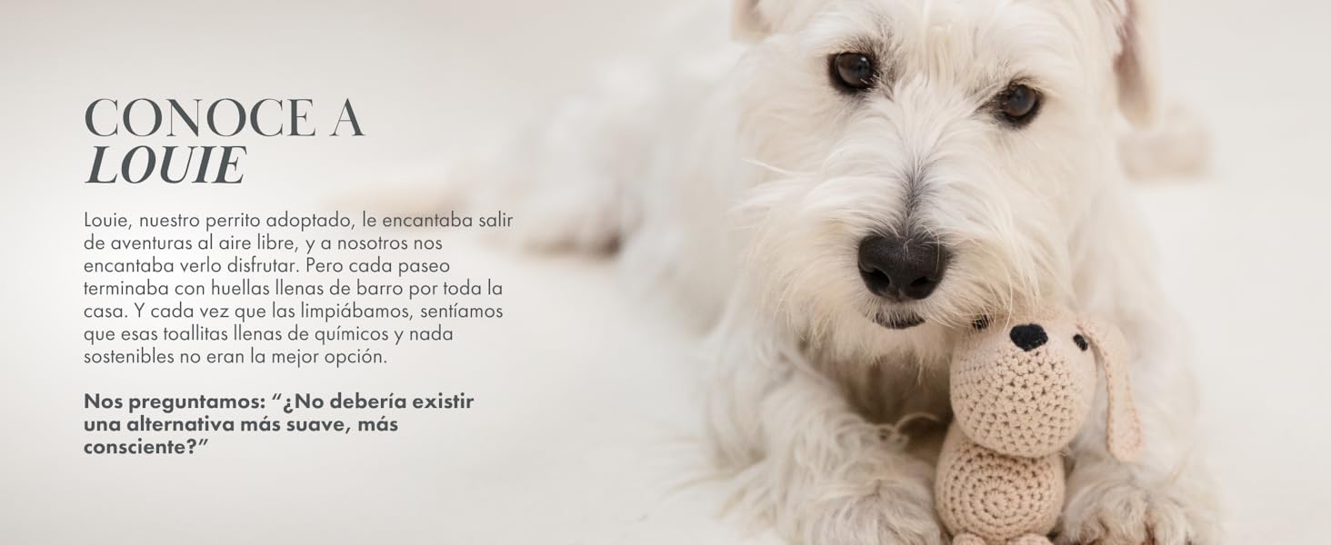 conoce a louie