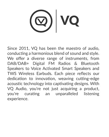 VQ Monty portable Dab Radio Alarm clock retro mini digital radio mains and battery powered fm radio
