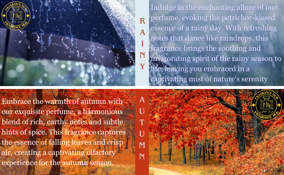 RAINY AUTUMN