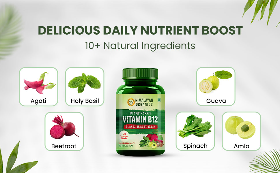 daily nutrient boost