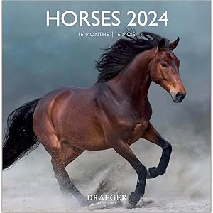 DRAEGER PARIS | Doisneau 2024 Large Wall Calendar Hanging 29 x 29 cm | 16 Months Sep-23 to Dec 24 | 7 Languages | Office Calendar, Home, Monthly | Decoration, Organization | FSC® Certified Paper 19 draeger wall calendar