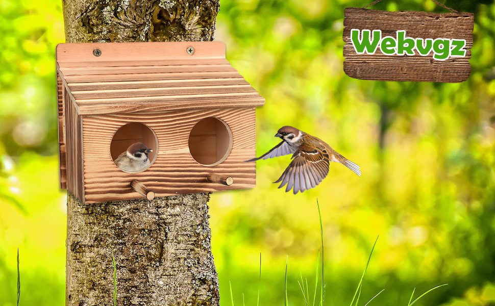 Bird House for Outside,Outdoor Bird Houses with Pole, Wooden Bird House for Finch