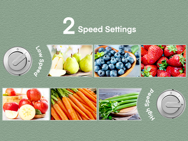 juicer machines vegetable and fruit