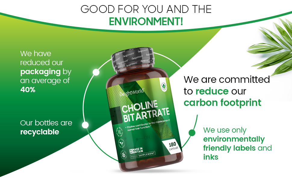 Choline Bitartrate Capsules 180 Vegan Choline Capsules 6 Months Supply Contributes to The