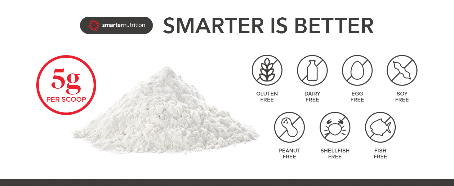 gluten free dairy free egg free soy free peanut free shellfish free fish free