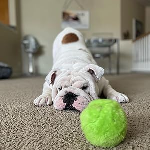 pelota interactiva