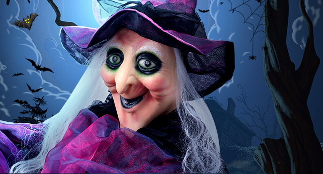 Halloween Witch  Decorations