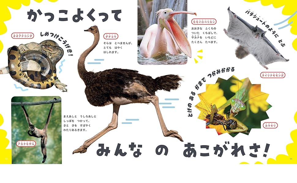 はぐくむずかん】つよい いきもの (はぐくむずかんシリーズ