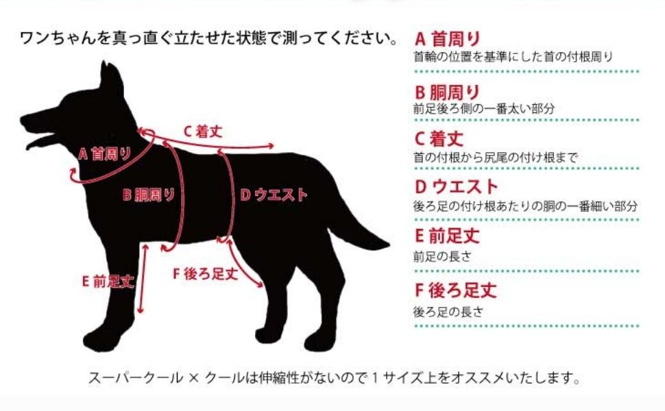 正規品直輸入】 セレナ 前が細いのでEサイズの方がおススメ
