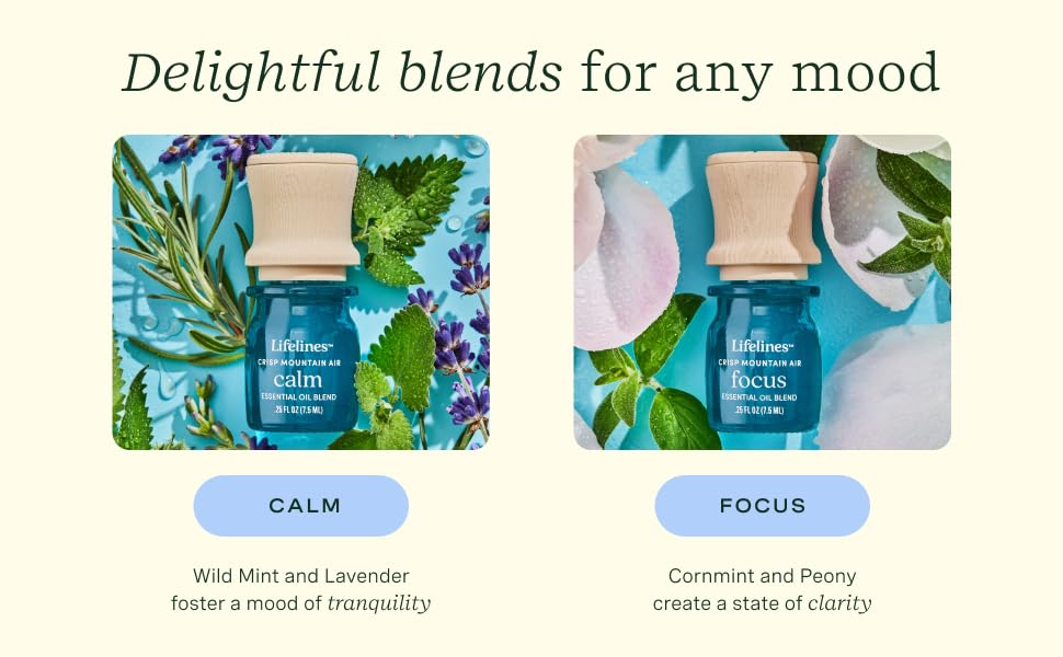 Lifelines Crisp Mountain 2 Pack Focus _ Calm
