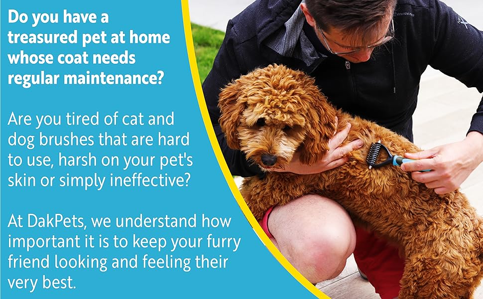 Do you have a treasured pet at home whose coat needs regular maintenance?
