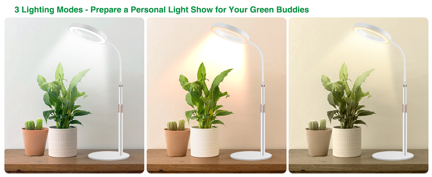 grow lights for indoor plants
