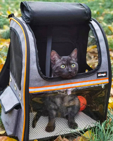 cat backpack carrier dog backpack pet carrier backpack large cat carrier