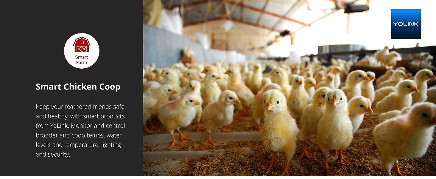 Smart Chicken Coop