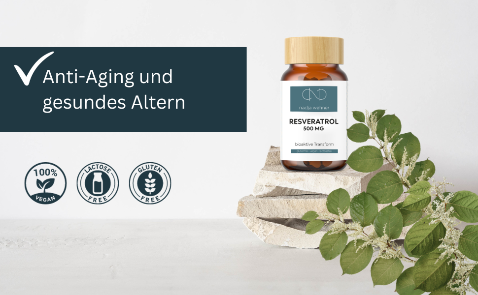 Eine Flasche Resveratrol 500 mg auf einem Stein und Staudenknöterich