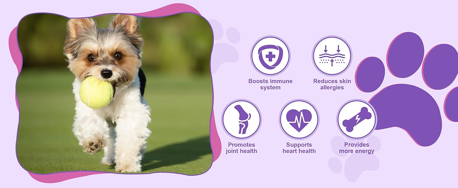 Dog Fish Oil