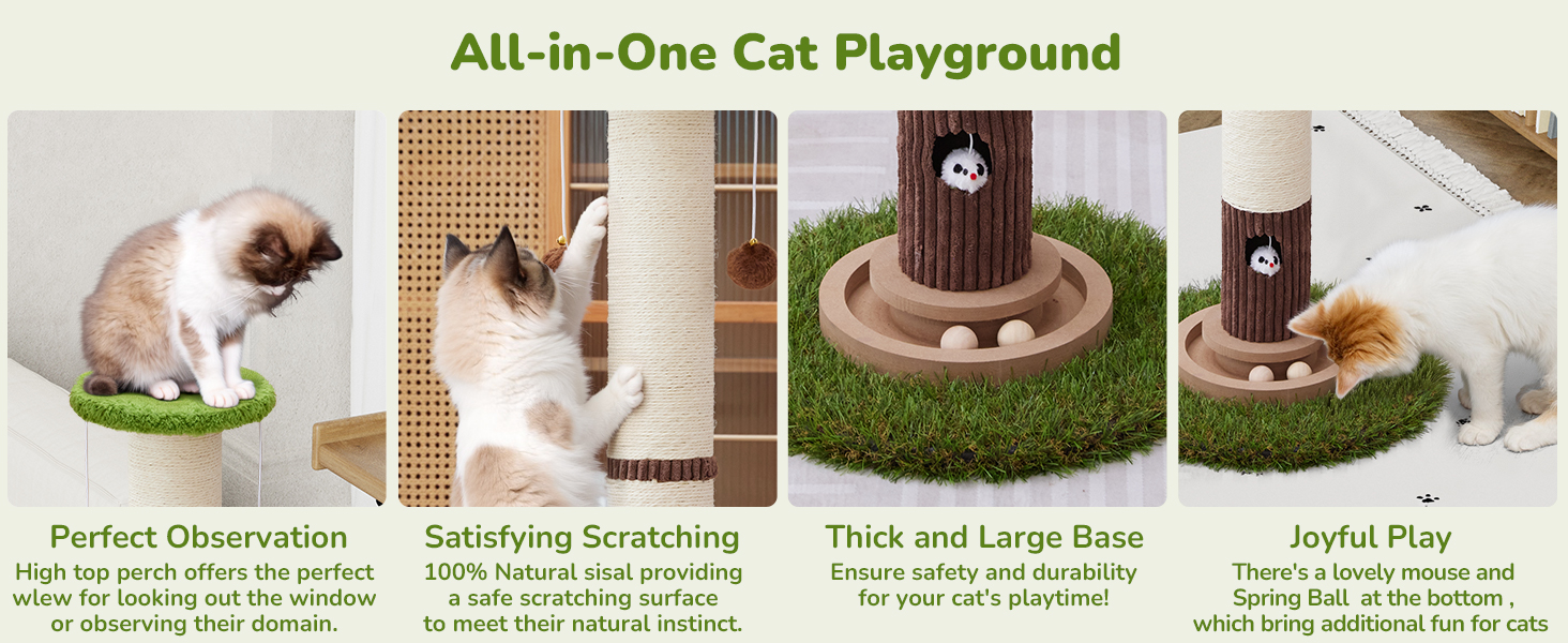 Scratcher Posts for Adults Cats