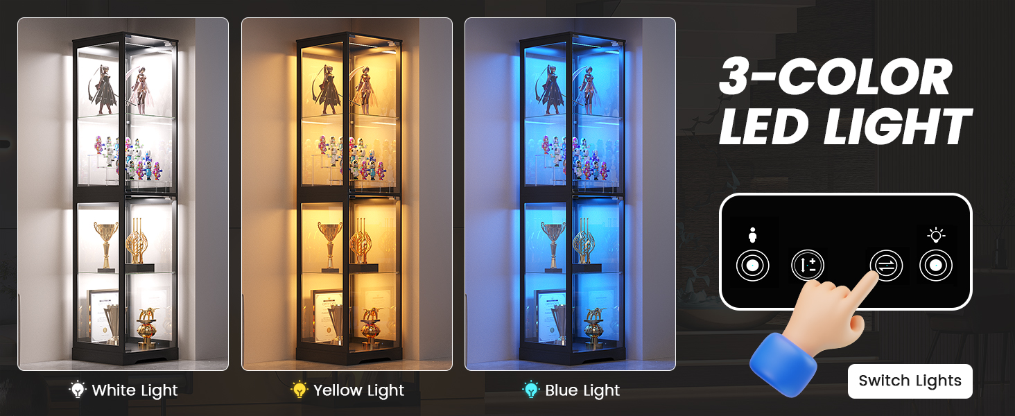 Glass Display Cabinet