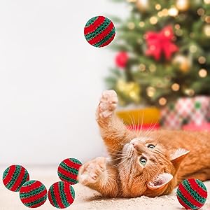 GREAT CHRISTMAS CAT GIFTS1
