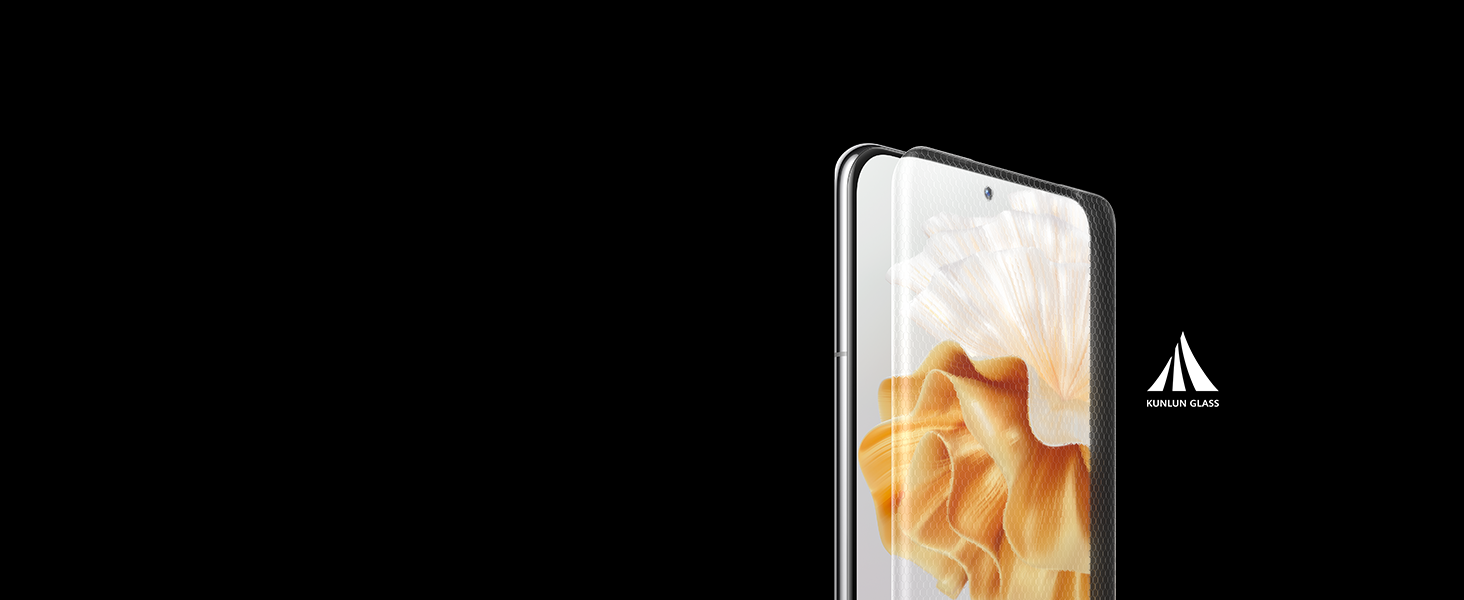 P60 Pro