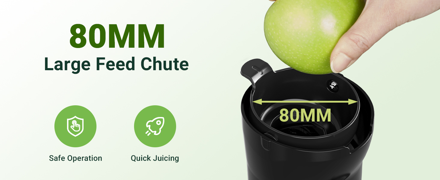 Feeding Chute Slow Masticating Juicer