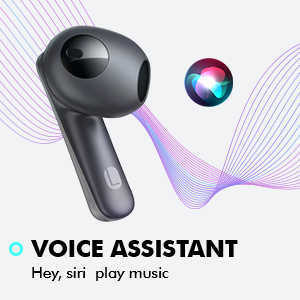 mic