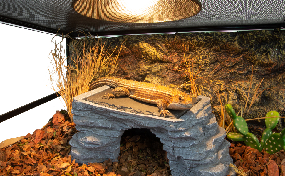 REPTI ZOO Large Bearded Dragon Basking Platform
