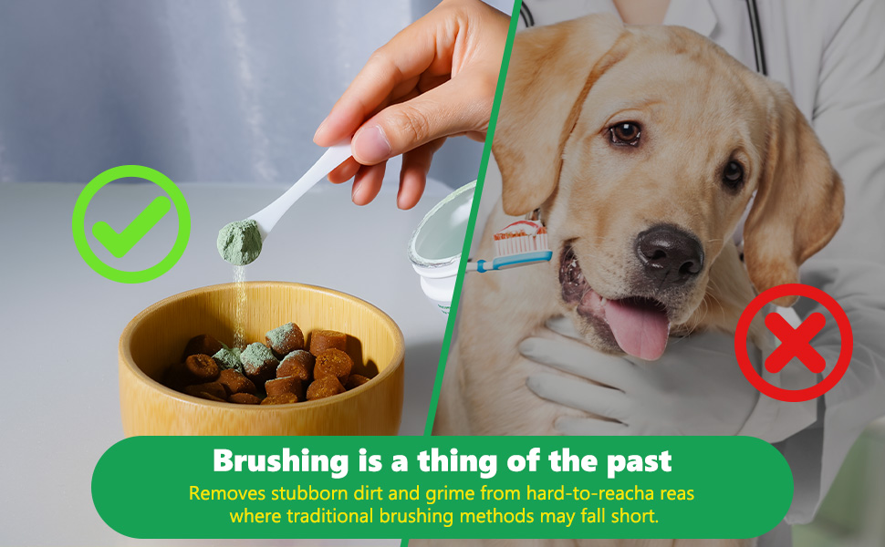 Dog Teeth Cleaning Powder