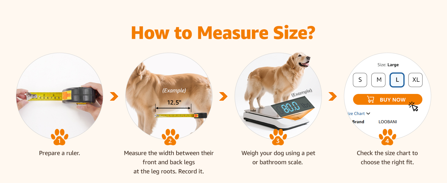 dog support harness for back legs