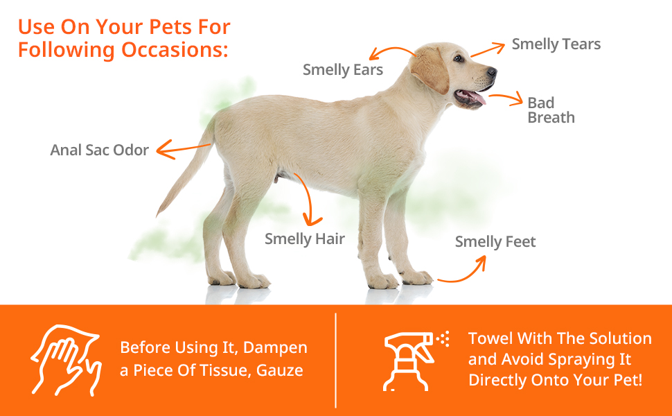 ARIPURE EZ Safe PET Stain & Pet Odor Eliminator Pet Urine