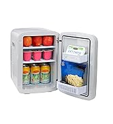 mini fridge for camping