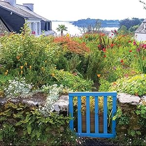 garden bird tree green grass flower bench sculpture beauty peaceful
