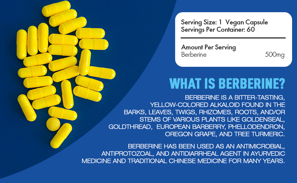 What is Berberine?