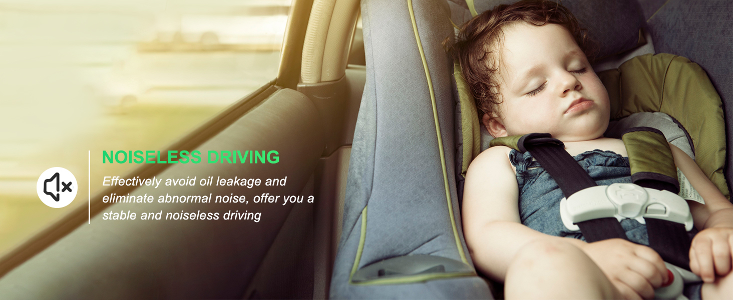 Complete Struts Assembly