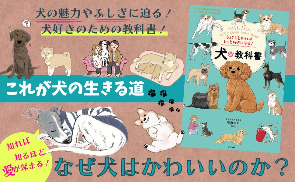 もっと犬に言いたいたくさんのこと : 君の「?」な行動に惑わされず、楽しむため… 気持ちを知ればもっと好きになる! 犬の教科書 | 増田 宏司 |本