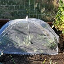 Small manufacture image 6