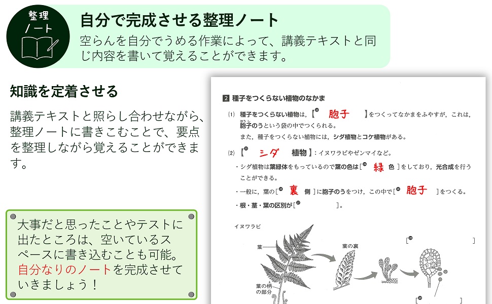 三段目_商品概要
