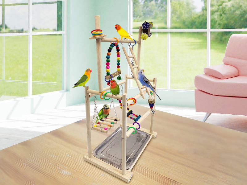 parakeet feeder cockatiel playground