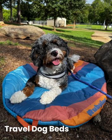Rubyloo Travel Dog Bed in teal and orange wiht doodle happily laying on it in a park